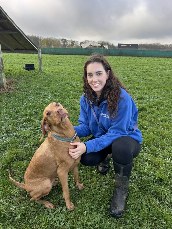 Tori - Carer with Vizla