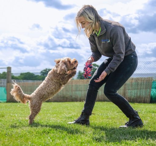 Bruce’s coach playing with a dog during training