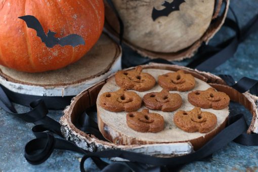 Dog friendly halloween pumpkin treats recipe