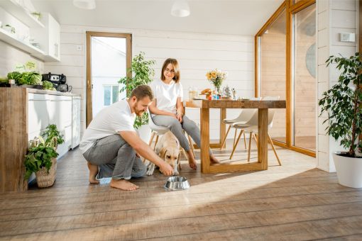 Dog owners at home with their labrador giving him his dogs dinner