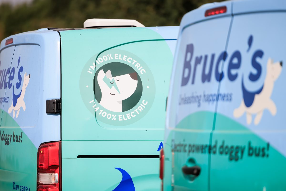 Bruce's dog bus close up rear