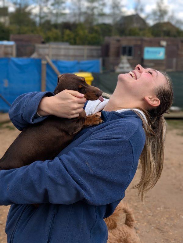 Maddie customer care with brown dachshund