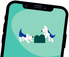 phone icon